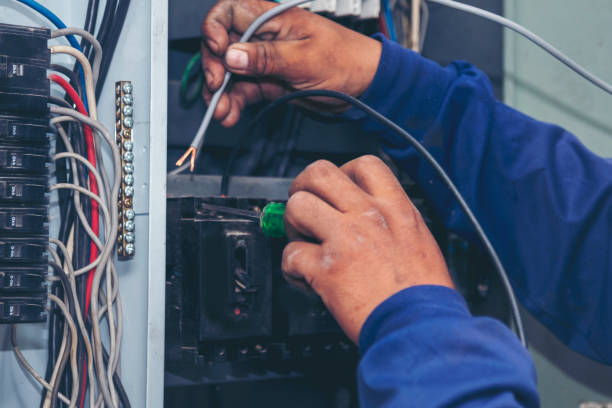 Best Electric Panel Repair  in Bartonvle, IL